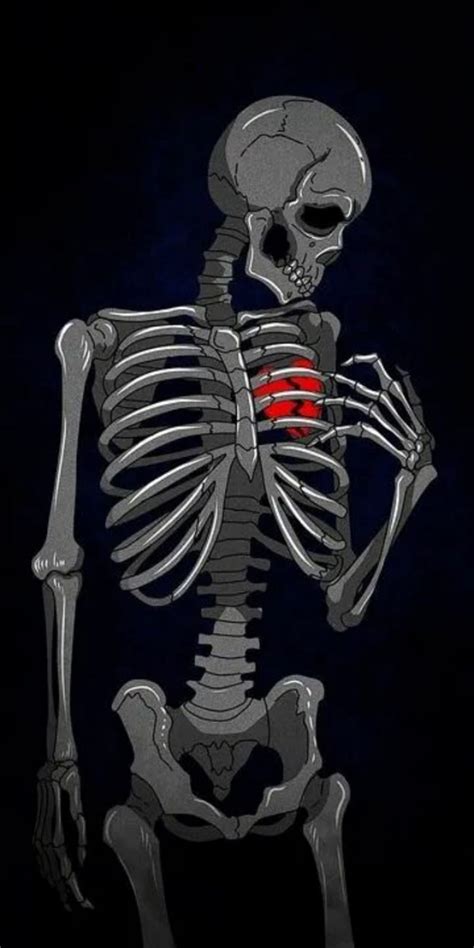 720p Free Download Skeleton Heart Love Skull Hd Phone Wallpaper