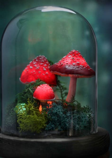 Sosuperawesome Mushroom Nightlightsandres Creatures Art On Etsy