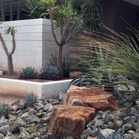 61 Unique Desert Landscaping Ideas For Every Style