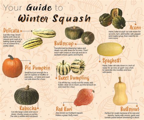Your Guide To Winter Squash Winter Squash In Season Produce Squash