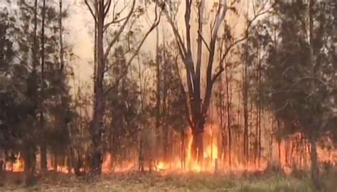 Australia Fires Another Person Killed In New South Wales