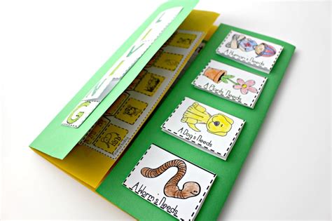 Children are curious, and their questions about life around them are unending. Activities to Teach Living Things - Tunstall's Teaching ...