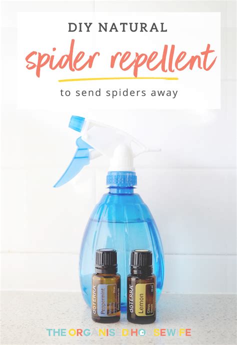 Diy Natural Spider Repellent The Organised Housewife