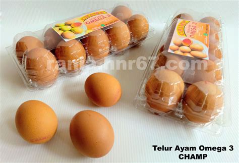 Check spelling or type a new query. Jual Telur Ayam Omega 3 Tangerang merk CHAMP