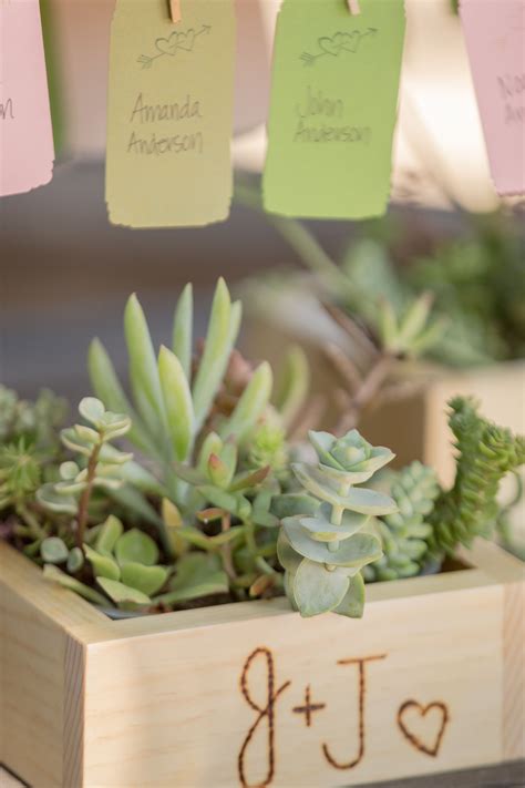 Stylistically express your gratitude with baby shower thank you cards designed by independent artists. Succulent Centerpieces in Wooden Boxes | Succulent ...