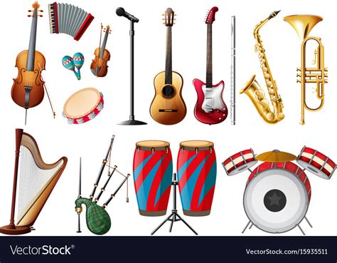 Different Types Musical Instruments Royalty Free Vector