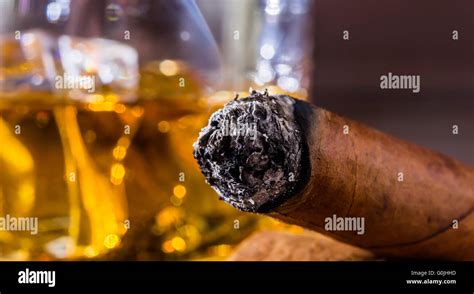Whisky And Cigar Stock Photo Alamy