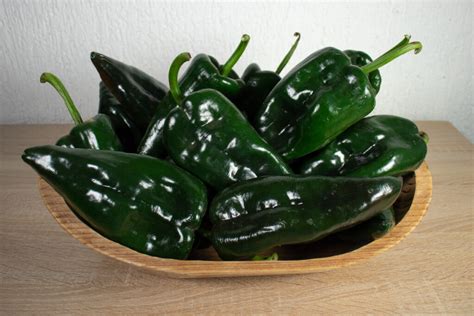 All About The Beautiful Poblano Pepper Minneopa Orchards