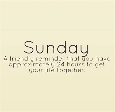 Sunday Funday Funny Quotes Shortquotescc