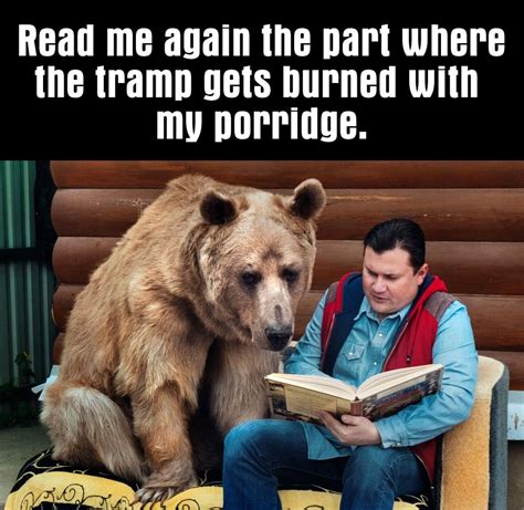 Bears Memes Too Many Polar Bear Memes Wear Are Cat Memes Lol