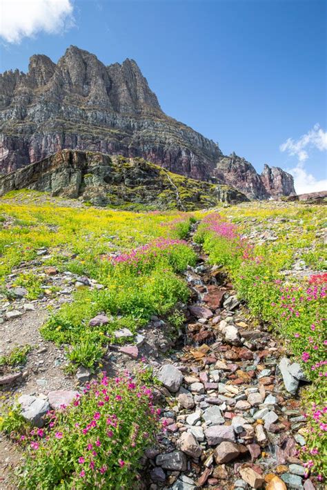 Glacier National Park Travel Guide Earth Trekkers