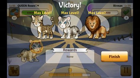 Bread Kittens Game Play 12 3 New Kittenslooking For Recolor Munchkin
