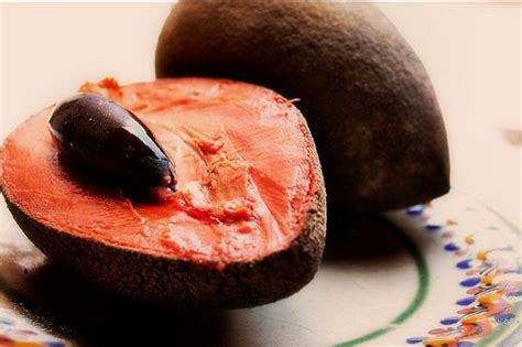 Mamey Caracter Sticas Cultivo Y Propiedades Jardineria On