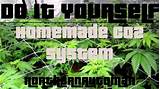 How To Remove Marijuana From System Pictures