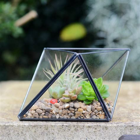 Geometric Brass Vase Succulent Air Plant Terrarium By Dinga Ding Terrariums