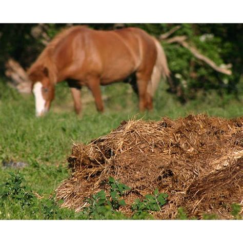 A good manure for garden improves the soil fertility and improves the properties of the soil. Manure Advice for Use in Gardens: Hints & Tips for Using ...