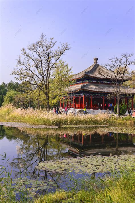 Background Foto Taman Indah Arsitektur Cina Taman Lingkungan