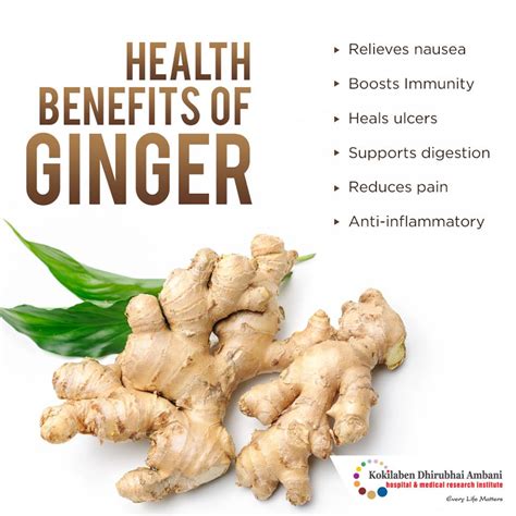 Health Benefits Of Ginger Health Tips From Kokilaben Hospital