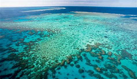 Discover our fantastic range of great barrier reef tours departing from cairns prices start from $115. Great Barrier Reef - Picture Tour - Cairns Australia