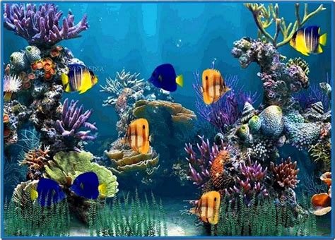 Aquarium Desktop Animated Screensaver Download