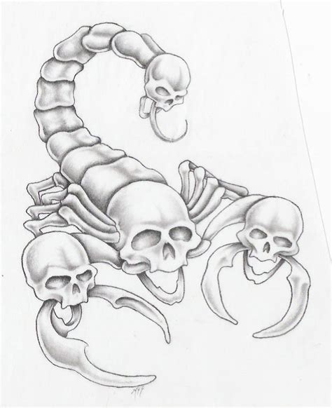 Badass Scorpio Drawing Scorpion Nipplebitter By Markfellows On