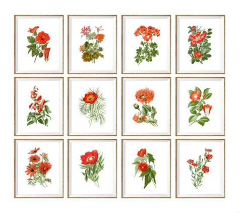 Floral Botanical Art Print Set Of 12 Red Botanical Prints Etsy