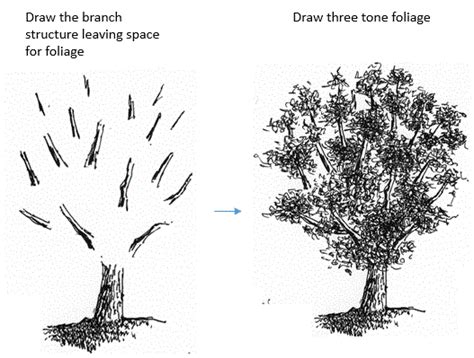 How To Draw Tree Foliage In Pen And Ink My Pen And Ink Drawings