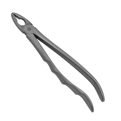 Prodent Usa Upper Anterior Extraction Forceps Notched Tips In