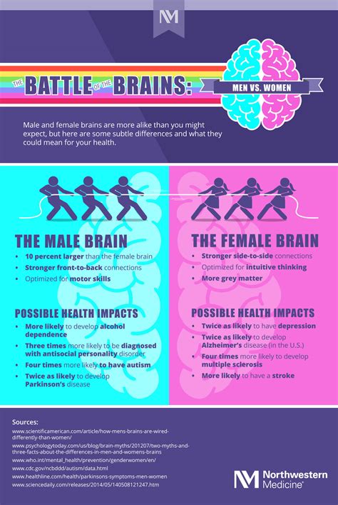 Male Vs Female Brain Funny