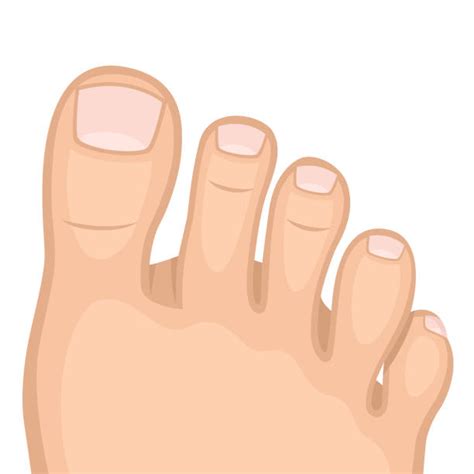 Big Toe Illustrations Royalty Free Vector Graphics And Clip Art Istock