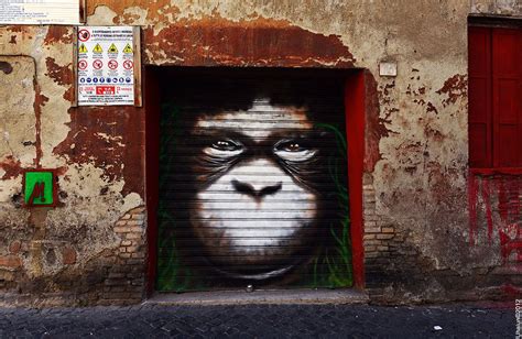 Monkey Face Street Art Monkey Face Wall Painting