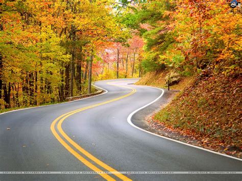🔥 Download Beautiful Road Wallpaper Group By Aferrell Beautiful Road
