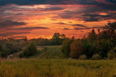 Green Grass Field During Sunset · Free Stock Photo