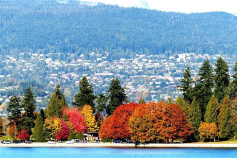 The Beautiful Autumn Colours At Stanley Park Vancouver Canada