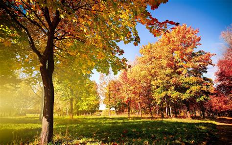 Colorful Autumn Landscape Wallpapers And Images