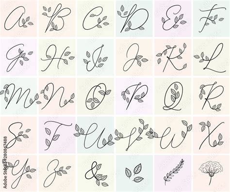 Calligraphy Alphabet Decorative Handwritten Font Vector Letters