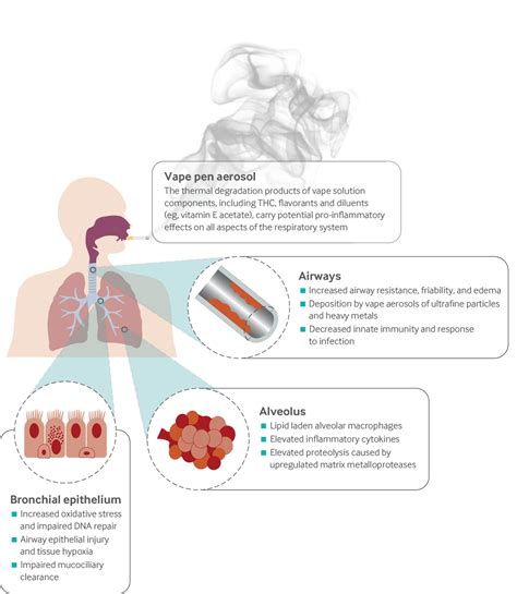 impact of vaping on respiratory health the bmj
