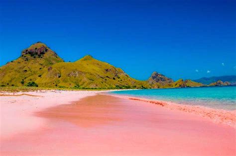 Pink Beach Dtour Komodo Travel