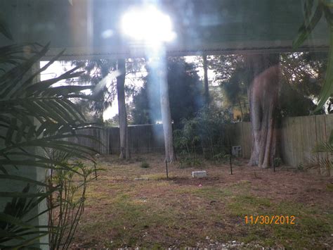 Vortex Hunters Paranormal Investigations Free Live Ghost Cams Vortex Maps