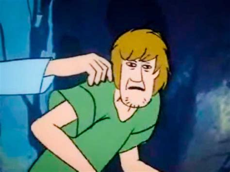Scooby Doo 1969 Scooby Doo Memes Funny Profile Pictures Reaction