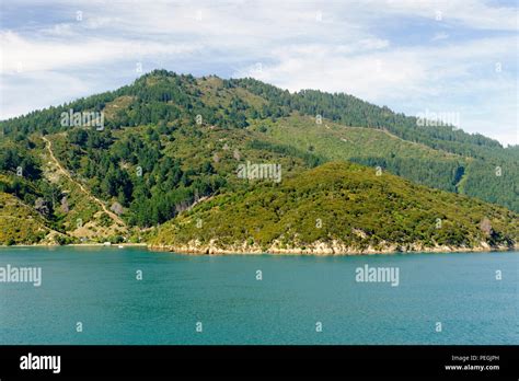 Queen Charlotte Sound New Zealand Stock Photo Alamy