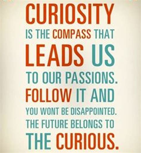Curiosity Is The Compass That Leads Us To Our Passions Follow It And