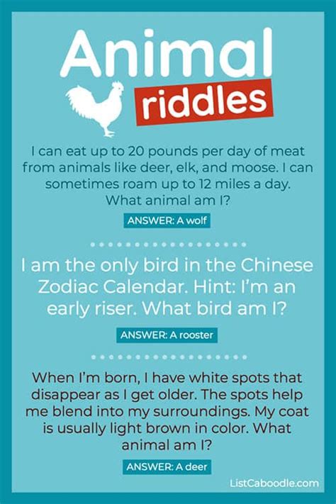Top 154 Animal Riddles With Answers