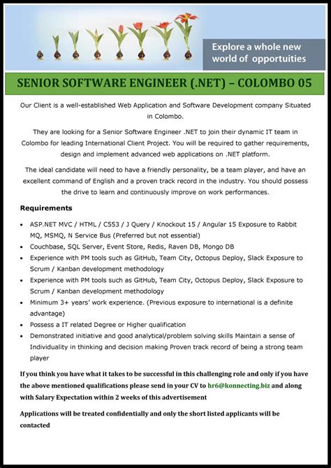 Senior Software Engineer Net