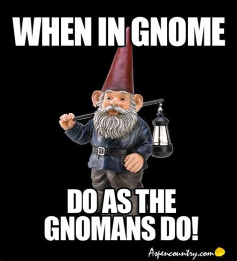 Painful Gnome Puns When In Gnome Do As The Gnomans Do Gnomes