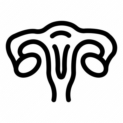 Ovary Uterus Female Reproductive Organ Fallopian Tube Cervix Icon