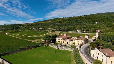 Allegrini is a prominent producer in venezie and the family has been growing grapes and making wine in the veneto since the 16th century. Allegrini e Villa Della Torre - Video presentazione 2019 ...
