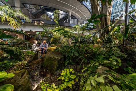 The Spheres Exploring Biophilia In The Modern Workplace What Is