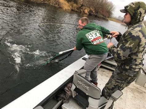 Chehalis River Fishing Charter and Guide Service | Gaffney Fisheries LLC