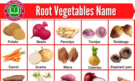 List Of Root Vegetables Name With Pictures Onlymyenglish